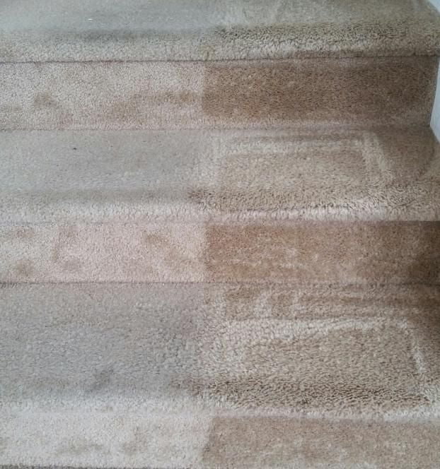 Carpet Cleaning Vero Beach, FL